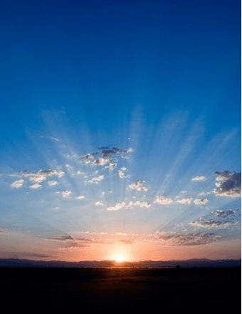 Anna M (Sokol) Freund Obituary