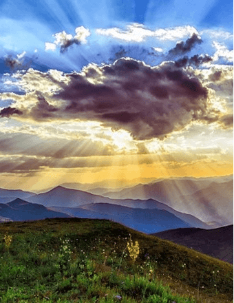 Shirley A Riker Obituary
